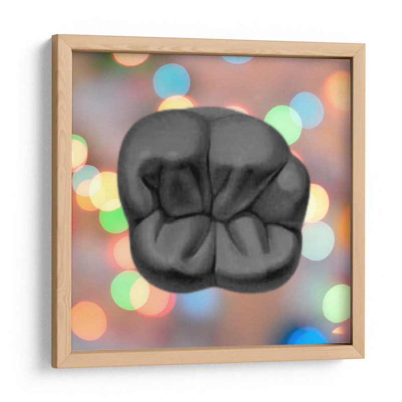 Oclusal - Odontograma Mx | Cuadro decorativo de Canvas Lab