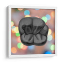 Oclusal - Odontograma Mx | Cuadro decorativo de Canvas Lab