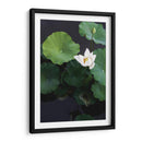 Loto blanco | Cuadro decorativo de Canvas Lab