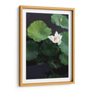 Loto blanco | Cuadro decorativo de Canvas Lab