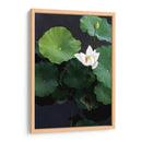 Loto blanco | Cuadro decorativo de Canvas Lab