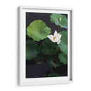 Loto blanco | Cuadro decorativo de Canvas Lab