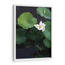 Loto blanco | Cuadro decorativo de Canvas Lab