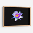 Loto lila | Cuadro decorativo de Canvas Lab