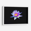 Loto lila | Cuadro decorativo de Canvas Lab