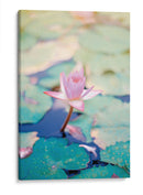 Loto rosa | Cuadro decorativo de Canvas Lab