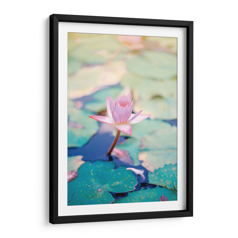 Loto rosa | Cuadro decorativo de Canvas Lab