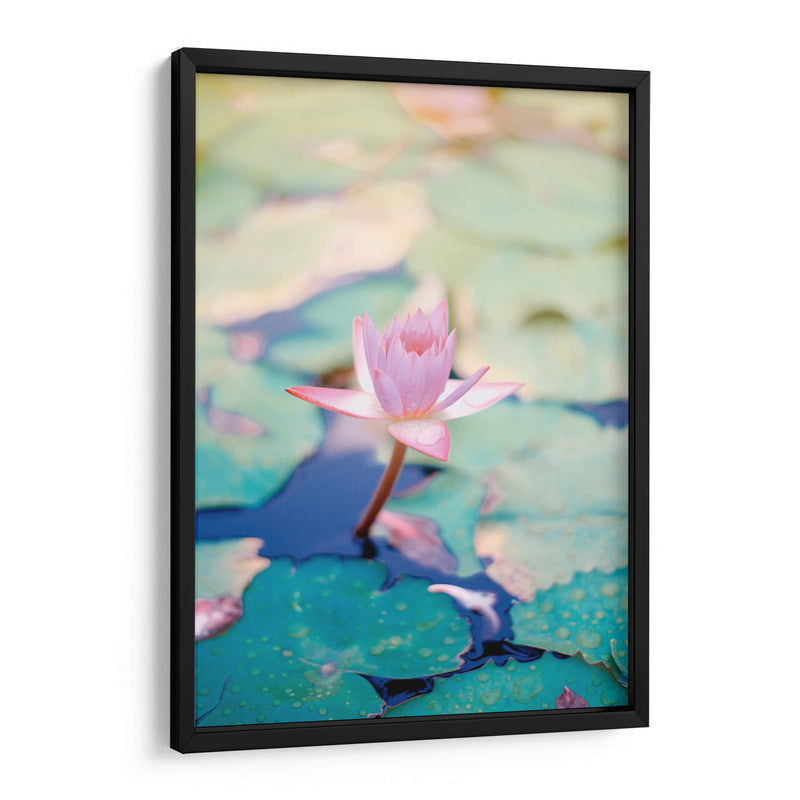 Loto rosa | Cuadro decorativo de Canvas Lab