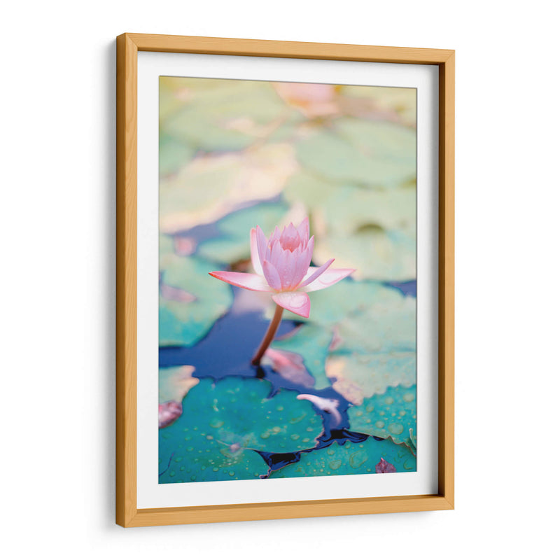 Loto rosa | Cuadro decorativo de Canvas Lab