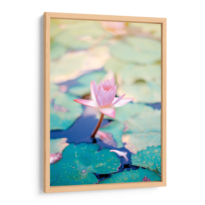 Loto rosa | Cuadro decorativo de Canvas Lab