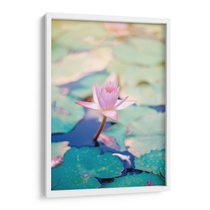 Loto rosa | Cuadro decorativo de Canvas Lab