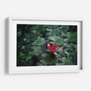 Loto y llovizna | Cuadro decorativo de Canvas Lab