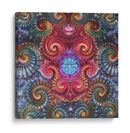 Mandala fossils | Cuadro decorativo de Canvas Lab