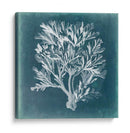 Azure Coral Iv - Vision Studio | Cuadro decorativo de Canvas Lab