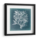 Azure Coral Iv - Vision Studio | Cuadro decorativo de Canvas Lab