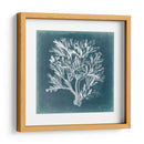Azure Coral Iv - Vision Studio | Cuadro decorativo de Canvas Lab