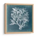 Azure Coral Iv - Vision Studio | Cuadro decorativo de Canvas Lab