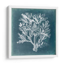 Azure Coral Iv - Vision Studio | Cuadro decorativo de Canvas Lab