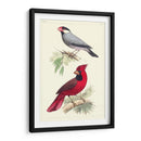 Pájaros Lemaire I - C.L. Lemaire | Cuadro decorativo de Canvas Lab