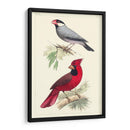 Pájaros Lemaire I - C.L. Lemaire | Cuadro decorativo de Canvas Lab