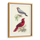 Pájaros Lemaire I - C.L. Lemaire | Cuadro decorativo de Canvas Lab