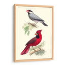 Pájaros Lemaire I - C.L. Lemaire | Cuadro decorativo de Canvas Lab