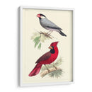 Pájaros Lemaire I - C.L. Lemaire | Cuadro decorativo de Canvas Lab