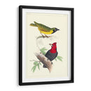 Lemaire Birds Ii - C.L. Lemaire | Cuadro decorativo de Canvas Lab