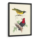 Lemaire Birds Ii - C.L. Lemaire | Cuadro decorativo de Canvas Lab