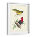 Lemaire Birds Ii - C.L. Lemaire | Cuadro decorativo de Canvas Lab