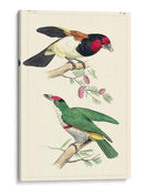 Lemaire Birds Iii - C.L. Lemaire | Cuadro decorativo de Canvas Lab