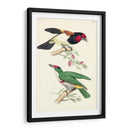 Lemaire Birds Iii - C.L. Lemaire | Cuadro decorativo de Canvas Lab