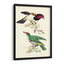 Lemaire Birds Iii - C.L. Lemaire | Cuadro decorativo de Canvas Lab