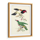 Lemaire Birds Iii - C.L. Lemaire | Cuadro decorativo de Canvas Lab