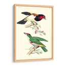 Lemaire Birds Iii - C.L. Lemaire | Cuadro decorativo de Canvas Lab