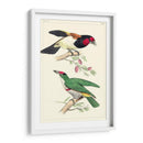 Lemaire Birds Iii - C.L. Lemaire | Cuadro decorativo de Canvas Lab