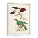 Lemaire Birds Iii - C.L. Lemaire | Cuadro decorativo de Canvas Lab