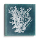 Azure Coral I - Vision Studio | Cuadro decorativo de Canvas Lab