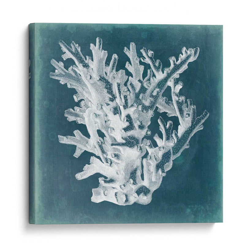 Azure Coral I - Vision Studio | Cuadro decorativo de Canvas Lab