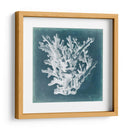 Azure Coral I - Vision Studio | Cuadro decorativo de Canvas Lab