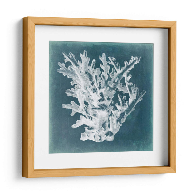 Azure Coral I - Vision Studio | Cuadro decorativo de Canvas Lab