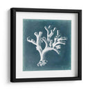 Azure Coral Ii - Vision Studio | Cuadro decorativo de Canvas Lab