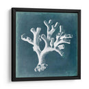 Azure Coral Ii - Vision Studio | Cuadro decorativo de Canvas Lab