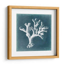 Azure Coral Ii - Vision Studio | Cuadro decorativo de Canvas Lab