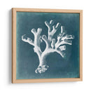 Azure Coral Ii - Vision Studio | Cuadro decorativo de Canvas Lab