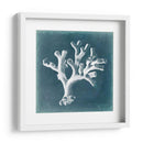 Azure Coral Ii - Vision Studio | Cuadro decorativo de Canvas Lab