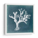Azure Coral Ii - Vision Studio | Cuadro decorativo de Canvas Lab