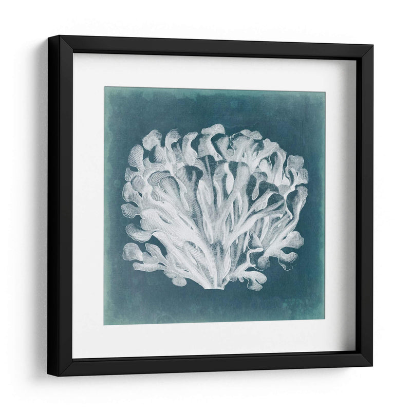 Azure Coral Iii - Vision Studio | Cuadro decorativo de Canvas Lab