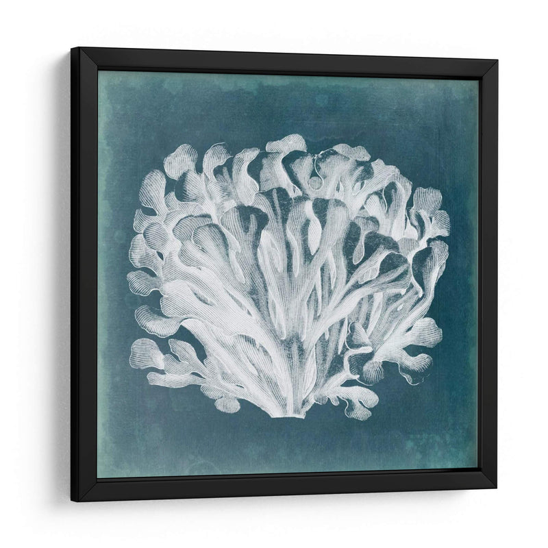 Azure Coral Iii - Vision Studio | Cuadro decorativo de Canvas Lab
