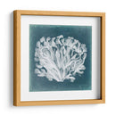 Azure Coral Iii - Vision Studio | Cuadro decorativo de Canvas Lab